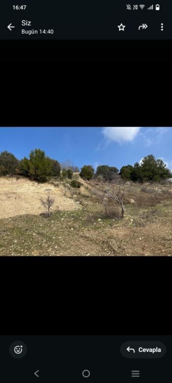 İzmir Kemalpaşa Damlacık 'ta müstakil tapulu4.460m2 arazi 5000000 TL