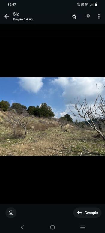 İzmir Kemalpaşa Damlacık 'ta müstakil tapulu4.460m2 arazi 5000000 TL