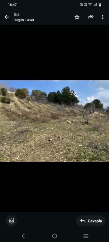 İzmir Kemalpaşa Damlacık 'ta müstakil tapulu4.460m2 arazi 5000000 TL