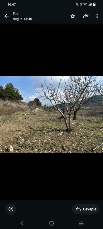 İzmir Kemalpaşa Damlacık 'ta müstakil tapulu4.460m2 arazi 5000000 TL