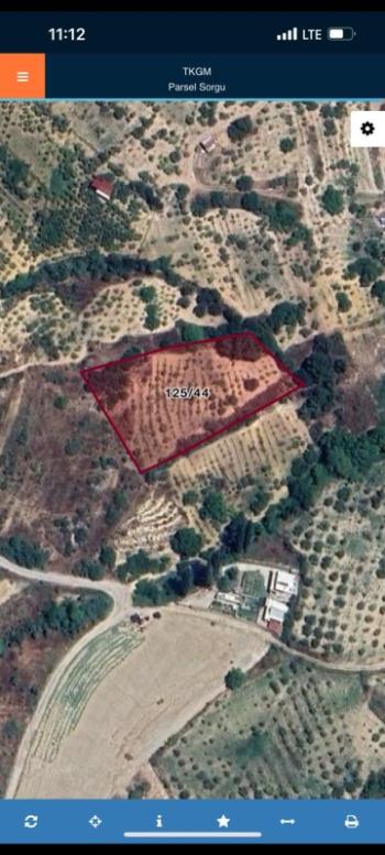 İzmir Kemalpaşa Damlacık 'ta müstakil tapulu4.460m2 arazi 5000000 TL