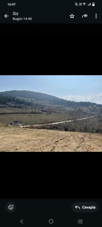 İzmir Kemalpaşa Damlacık 'ta müstakil tapulu4.460m2 arazi 5000000 TL
