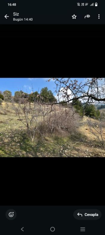 İzmir Kemalpaşa Damlacık 'ta müstakil tapulu4.460m2 arazi 5000000 TL