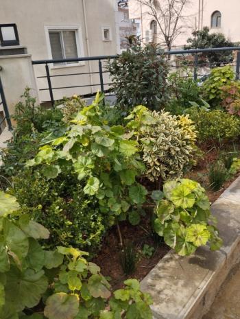 Maltepe Cevizlide Kiralık 2+1 Daire