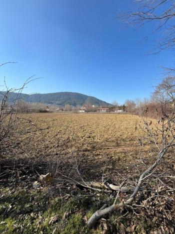 Ödemiş Gölcük mahallesinde ,göle 300metre mesafede 2.524m2 tarla
