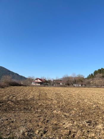 Ödemiş Gölcük mahallesinde ,göle 300metre mesafede 2.524m2 tarla