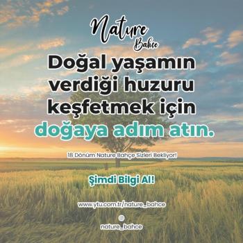 Bursa İznik Bayındır Mahallesi’nde 18 Dönüm Eşsiz Yatırım Fırsatı!