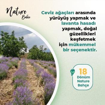 Bursa İznik Bayındır Mahallesi’nde 18 Dönüm Eşsiz Yatırım Fırsatı!