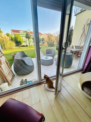 Şık, ferah, aydınlık, doğa ile başbaşa EŞYALI kiralık vila - Kucukarıkoy'