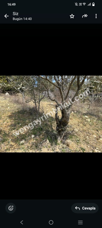 İzmir Kemalpaşa Damlacık 'ta müstakil tapulu4.460m2 arazi 5000000 TL