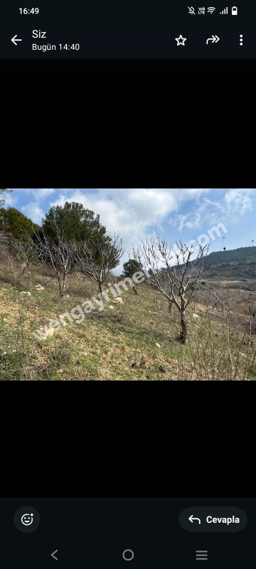 İzmir Kemalpaşa Damlacık 'ta müstakil tapulu4.460m2 arazi 5000000 TL