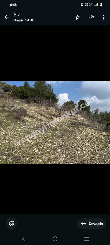 İzmir Kemalpaşa Damlacık 'ta müstakil tapulu4.460m2 arazi 5000000 TL