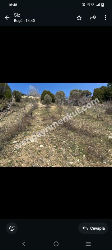 İzmir Kemalpaşa Damlacık 'ta müstakil tapulu4.460m2 arazi 5000000 TL