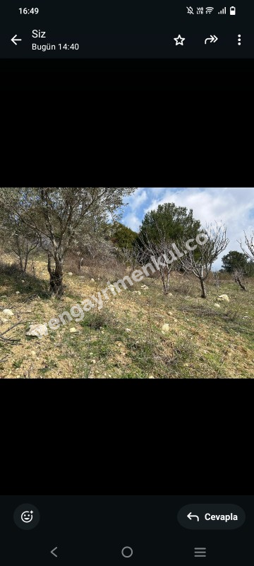 İzmir Kemalpaşa Damlacık 'ta müstakil tapulu4.460m2 arazi 5000000 TL