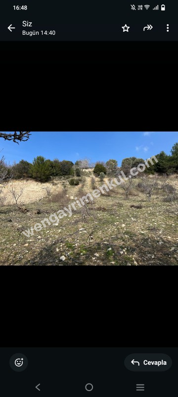İzmir Kemalpaşa Damlacık 'ta müstakil tapulu4.460m2 arazi 5000000 TL