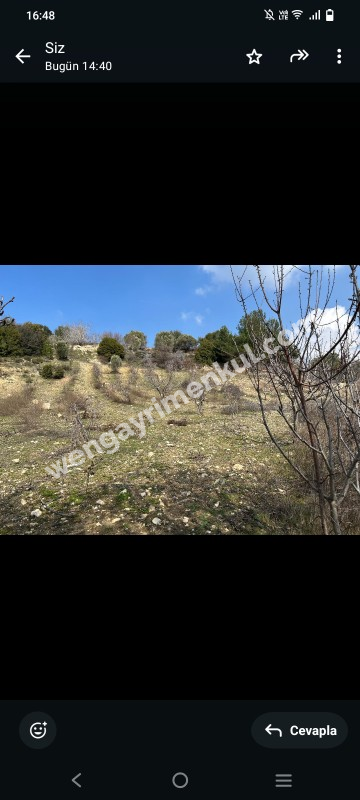 İzmir Kemalpaşa Damlacık 'ta müstakil tapulu4.460m2 arazi 5000000 TL