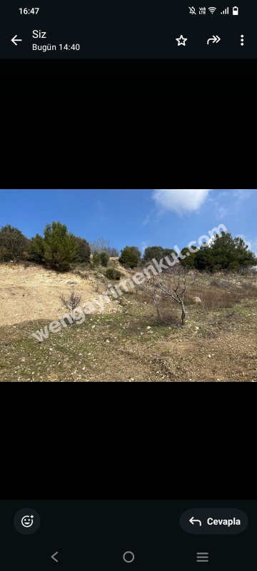 İzmir Kemalpaşa Damlacık 'ta müstakil tapulu4.460m2 arazi 5000000 TL