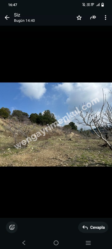 İzmir Kemalpaşa Damlacık 'ta müstakil tapulu4.460m2 arazi 5000000 TL