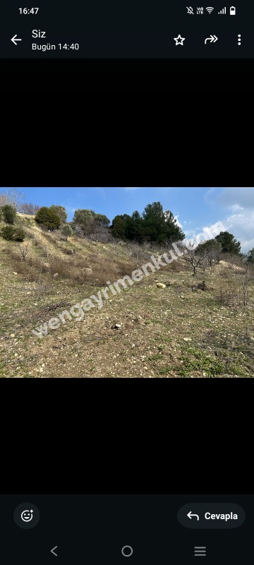 İzmir Kemalpaşa Damlacık 'ta müstakil tapulu4.460m2 arazi 5000000 TL