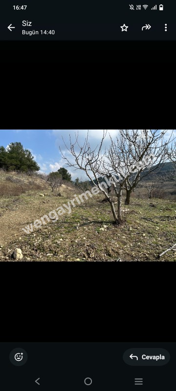 İzmir Kemalpaşa Damlacık 'ta müstakil tapulu4.460m2 arazi 5000000 TL