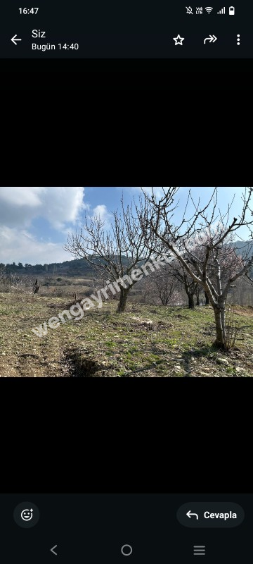 İzmir Kemalpaşa Damlacık 'ta müstakil tapulu4.460m2 arazi 5000000 TL