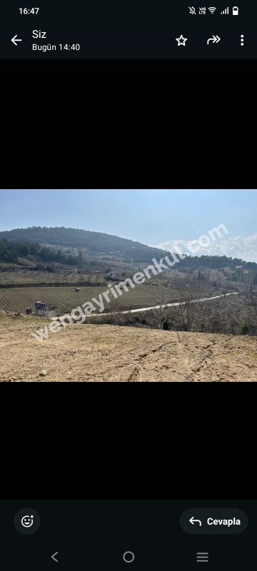 İzmir Kemalpaşa Damlacık 'ta müstakil tapulu4.460m2 arazi 5000000 TL