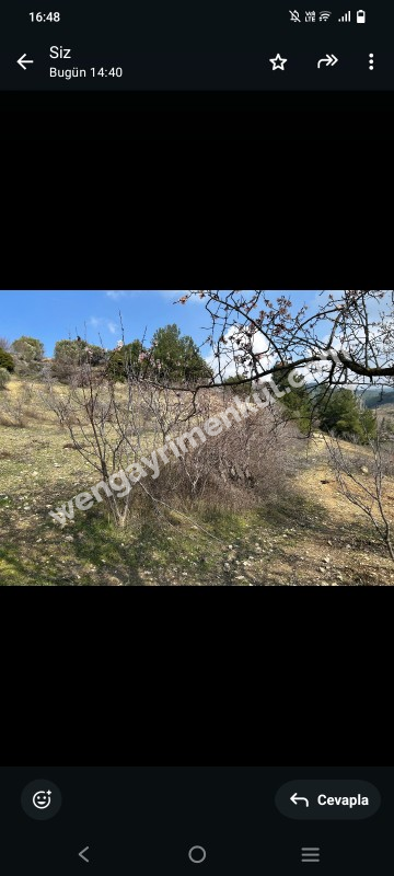İzmir Kemalpaşa Damlacık 'ta müstakil tapulu4.460m2 arazi 5000000 TL