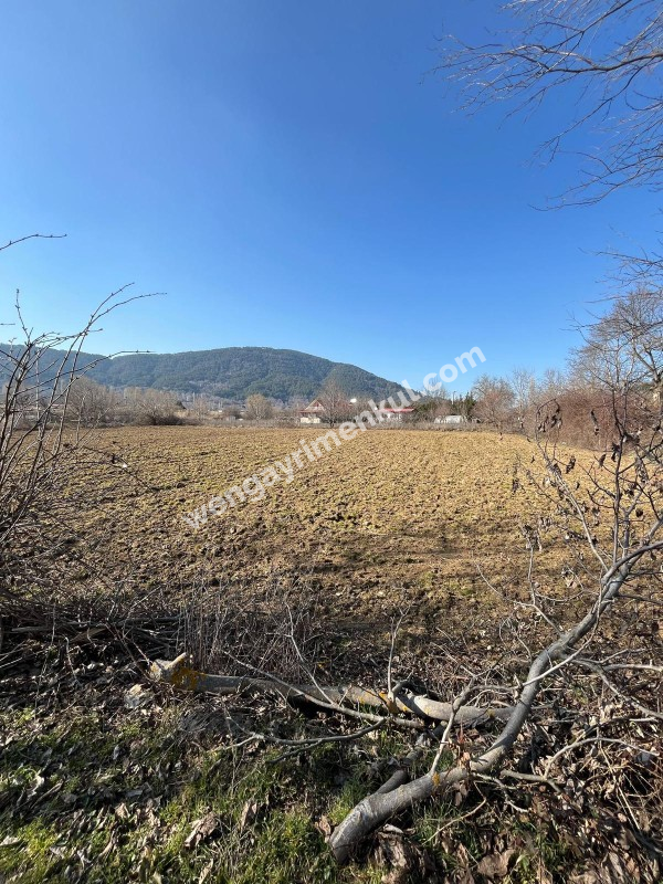 Ödemiş Gölcük mahallesinde ,göle 300metre mesafede 2.524m2 tarla