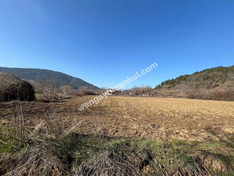 Ödemiş Gölcük mahallesinde ,göle 300metre mesafede 2.524m2 tarla