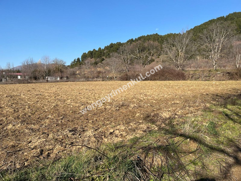 Ödemiş Gölcük mahallesinde ,göle 300metre mesafede 2.524m2 tarla