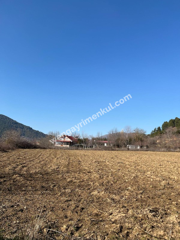 Ödemiş Gölcük mahallesinde ,göle 300metre mesafede 2.524m2 tarla