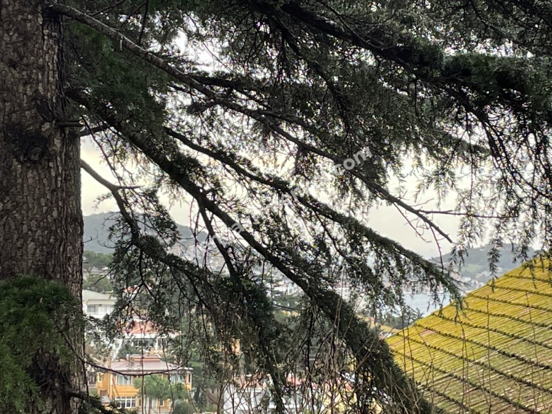 Büyükada 'da muhtesem manzaralı 3+1