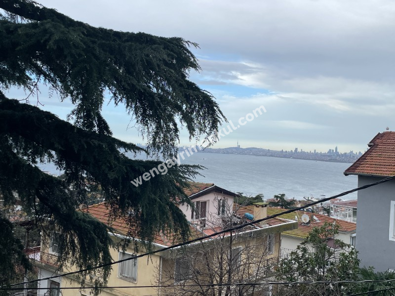 Büyükada 'da muhtesem manzaralı 3+1