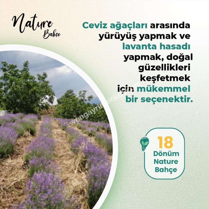 Bursa İznik Bayındır Mahallesi’nde 18 Dönüm Eşsiz Yatırım Fırsatı!