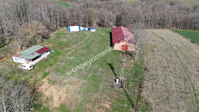 6.100 m² SATILIK ÇİFTLİK KIRKLARELİ DEMİRKÖY YİĞİTBAŞI