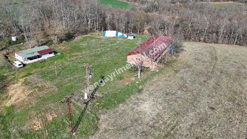 6.100 m² SATILIK ÇİFTLİK KIRKLARELİ DEMİRKÖY YİĞİTBAŞI