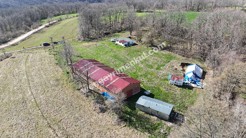 6.100 m² SATILIK ÇİFTLİK KIRKLARELİ DEMİRKÖY YİĞİTBAŞI