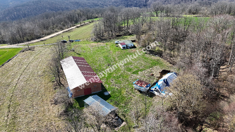 6.100 m² SATILIK ÇİFTLİK KIRKLARELİ DEMİRKÖY YİĞİTBAŞI