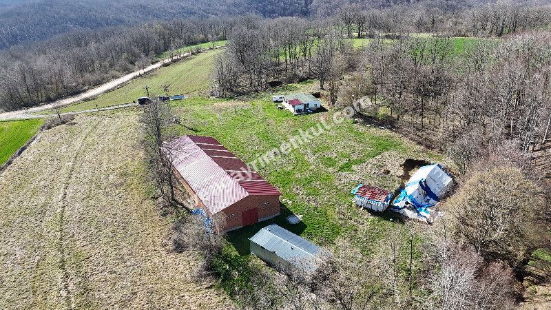 6.100 m² SATILIK ÇİFTLİK KIRKLARELİ DEMİRKÖY YİĞİTBAŞI