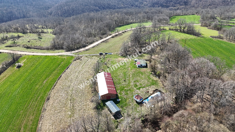 6.100 m² SATILIK ÇİFTLİK KIRKLARELİ DEMİRKÖY YİĞİTBAŞI