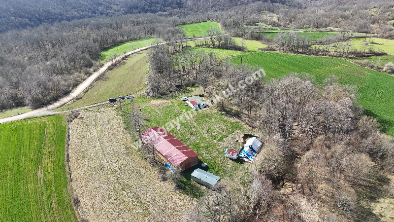 6.100 m² SATILIK ÇİFTLİK KIRKLARELİ DEMİRKÖY YİĞİTBAŞI