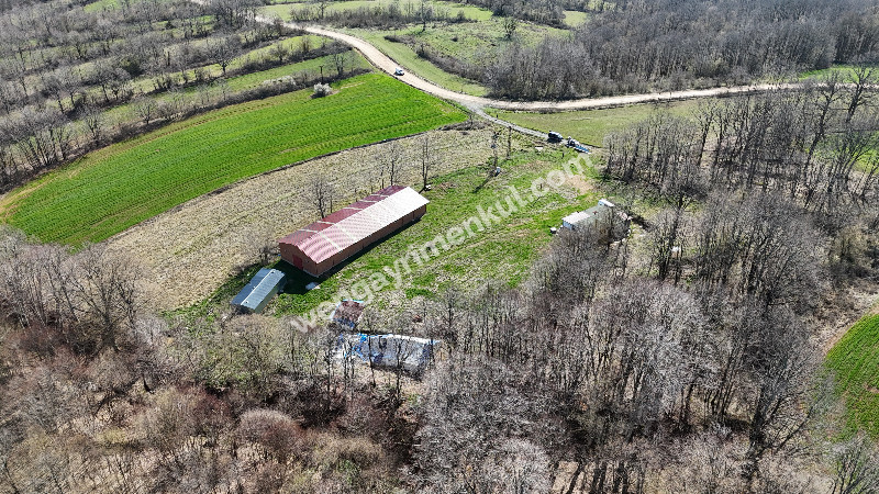6.100 m² SATILIK ÇİFTLİK KIRKLARELİ DEMİRKÖY YİĞİTBAŞI