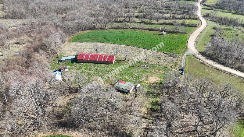 6.100 m² SATILIK ÇİFTLİK KIRKLARELİ DEMİRKÖY YİĞİTBAŞI