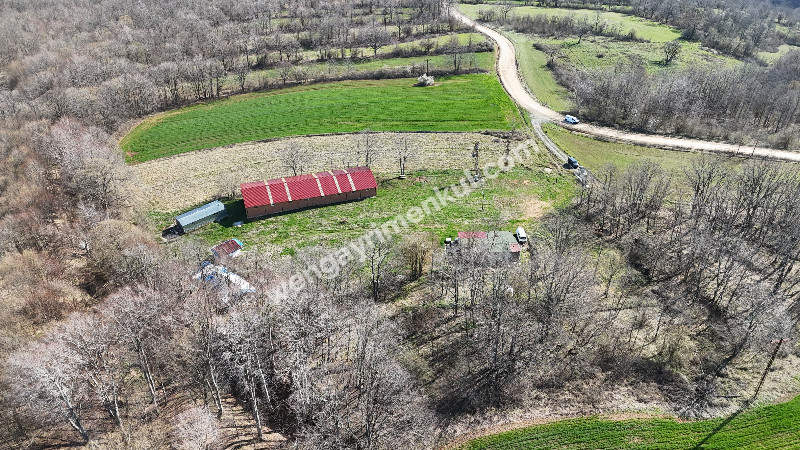 6.100 m² SATILIK ÇİFTLİK KIRKLARELİ DEMİRKÖY YİĞİTBAŞI