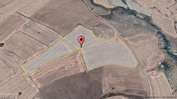 GÜVENAY - ÇORUM OSMANCIK YOLU ÜZERİ 29,477 M² SATILIK TARLA