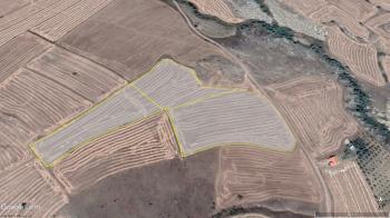 GÜVENAY - ÇORUM OSMANCIK YOLU ÜZERİ 29,477 M² SATILIK TARLA