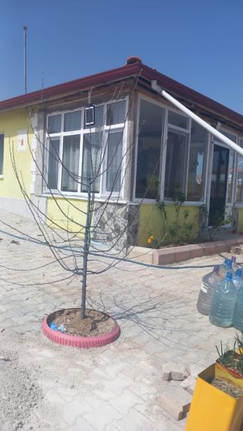 Çorum - Osmancık Yolu 15. Km Tek Tapu, Evi Olan Satılık Bağ 