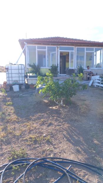 Çorum - Osmancık Yolu 15. Km Tek Tapu, Evi Olan Satılık Bağ 