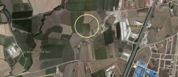GÜVENAY - ÇORUM TRAKTÖRCÜLER SİTESİ ARKASINDA SATILIK 6.250 M² HİSSE 
