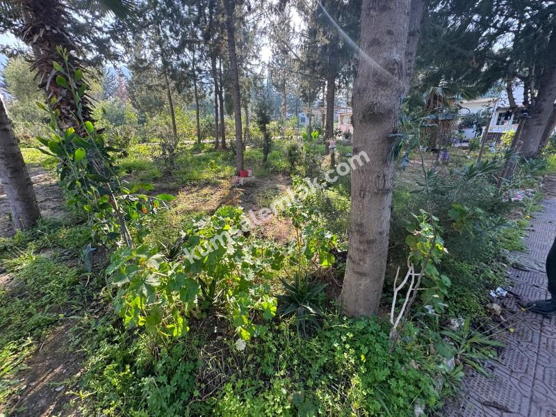 GİRNE ÇATALKÖYDE İKİZ EV